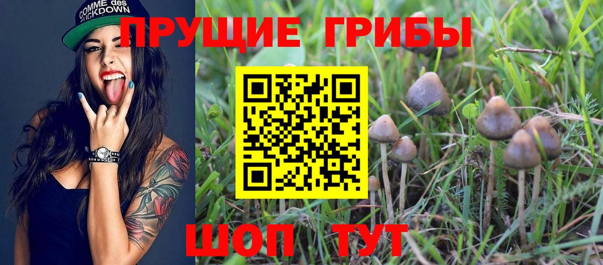 Псилоцибиновые грибы MAGIC MUSHROOMS Чехов