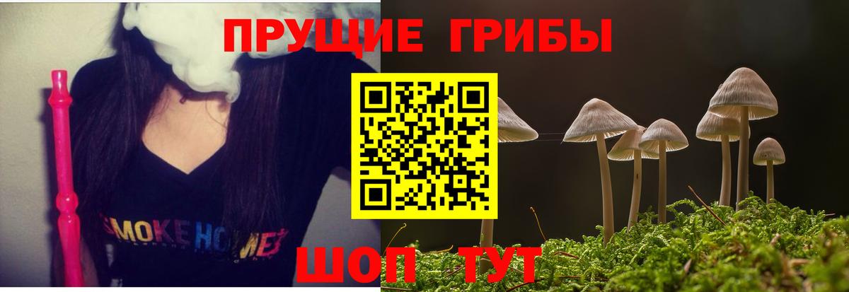 Псилоцибиновые грибы Magic Shrooms  Вход с VPN  Чехов 